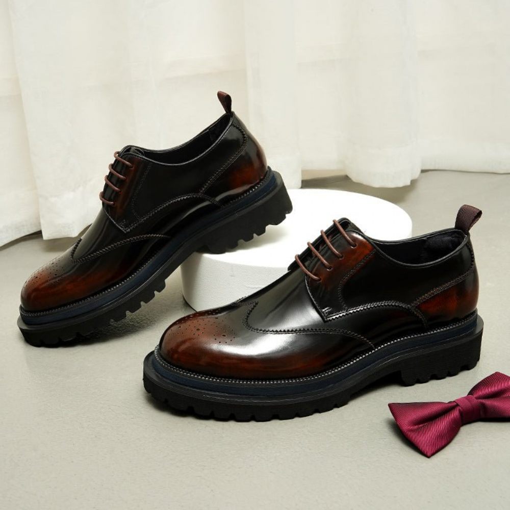 Chaussures Habillées Pour Hommes À Lacets Exotiques Brogue - Café