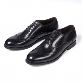 Chaussures Habillées Pour Hommes Metropolitan Mastery À Lacets Cuir