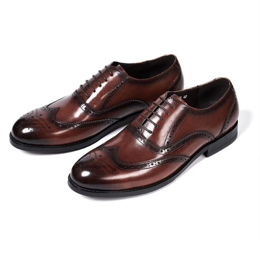 Chaussures Habillées Pour Hommes Metropolitan Mastery À Lacets Cuir - Marron