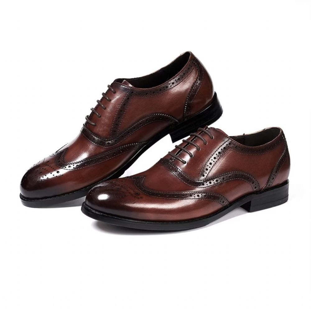 Chaussures Habillées Pour Hommes Metropolitan Mastery À Lacets Cuir - Marron