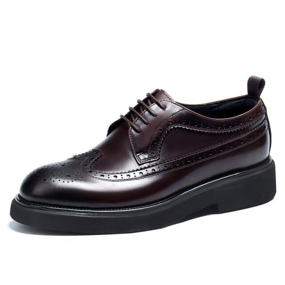 Chaussures Habillées Pour Hommes Oxford Classiques - Café