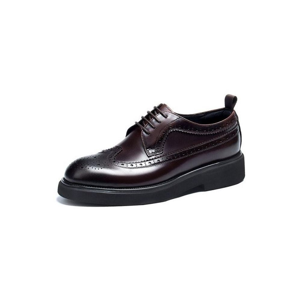 Chaussures Habillées Pour Hommes Oxford Classiques - Café