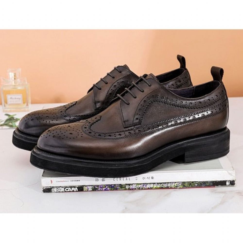 Chaussures Habillées Pour Hommes Oxford Classiques - Café