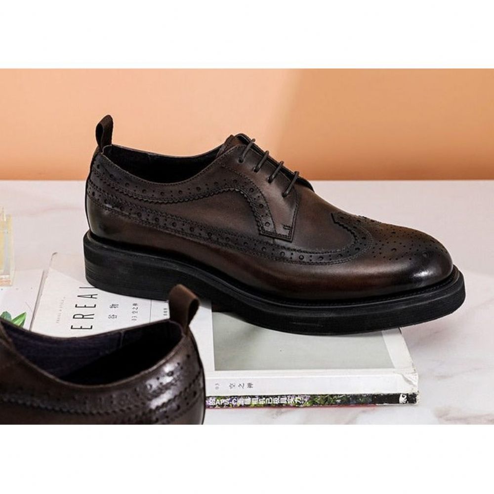 Chaussures Habillées Pour Hommes Oxford Classiques - Café