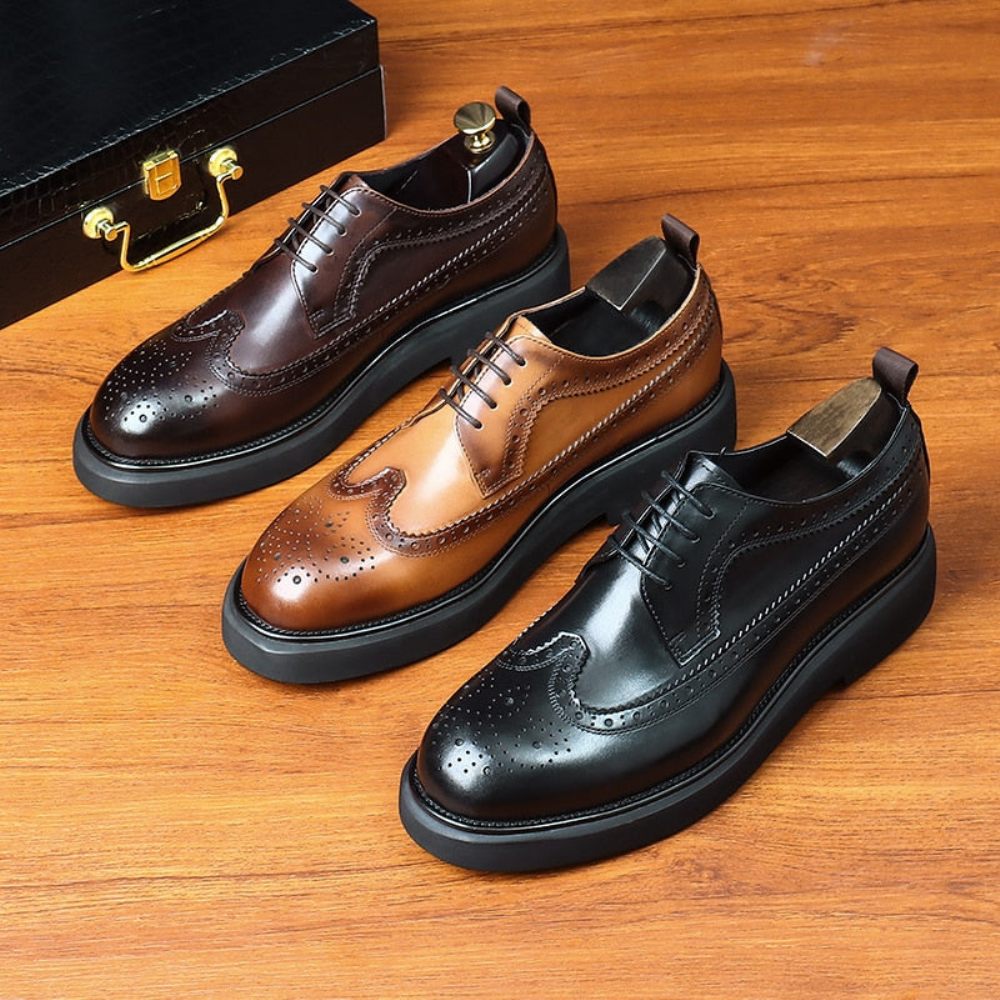 Chaussures Habillées Pour Hommes Oxford Classiques - Café