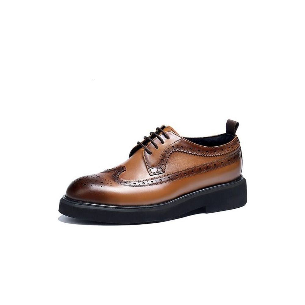 Chaussures Habillées Pour Hommes Oxford Classiques - Marron