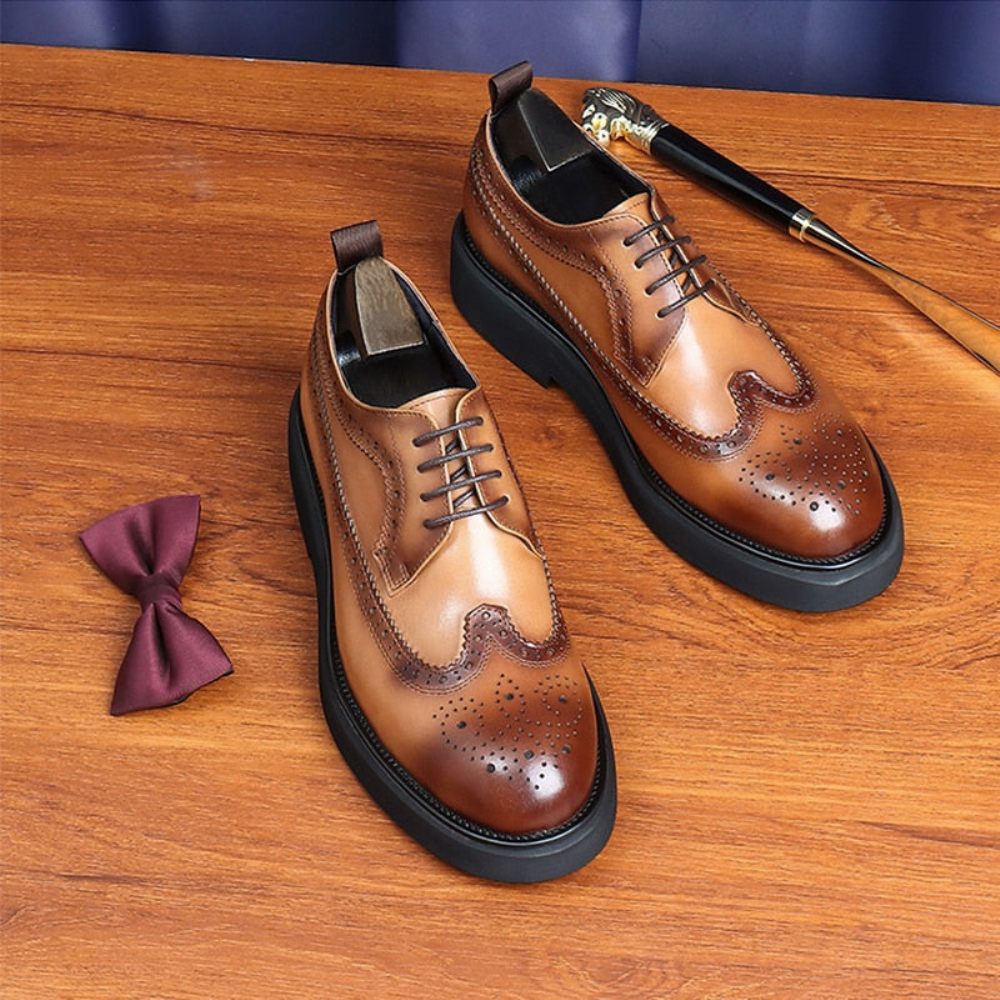 Chaussures Habillées Pour Hommes Oxford Classiques - Marron