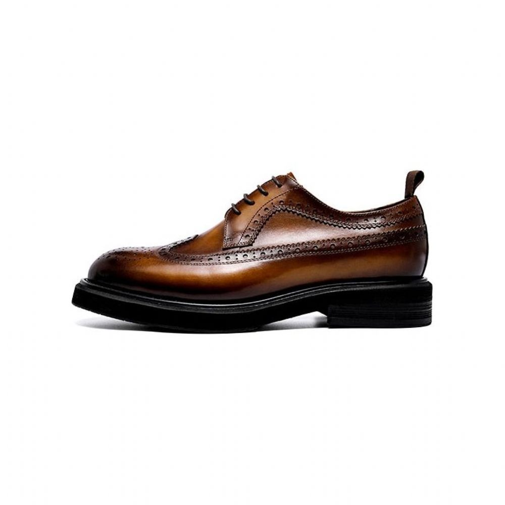 Chaussures Habillées Pour Hommes Oxford Classiques - Marron