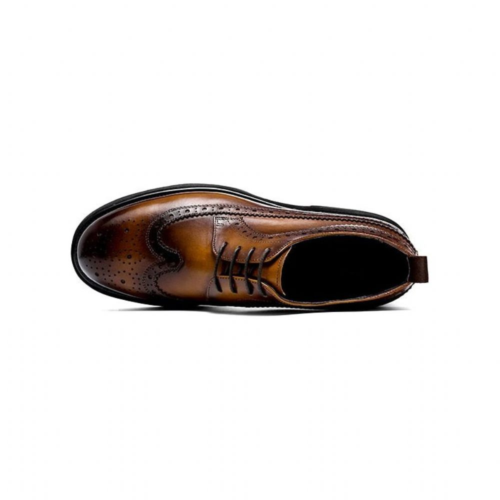 Chaussures Habillées Pour Hommes Oxford Classiques - Marron