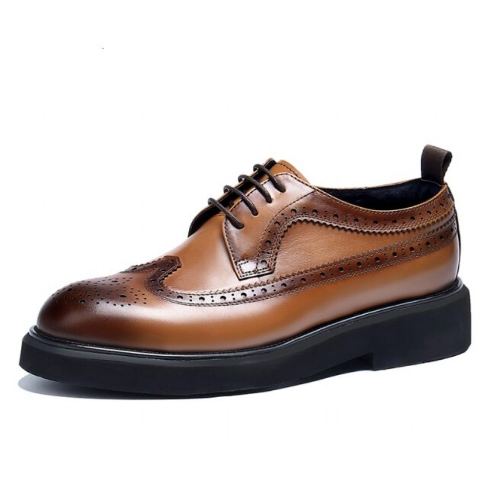 Chaussures Habillées Pour Hommes Oxford Classiques - Marron