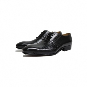 Chaussures Habillées Pour Hommes Oxford Exotiques À Lacets