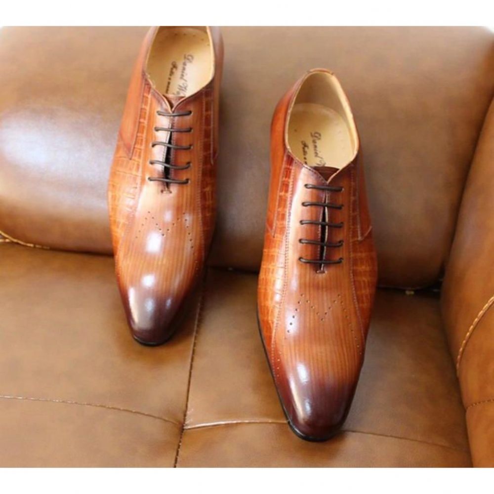 Chaussures Habillées Pour Hommes Oxford Exotiques À Lacets - Café