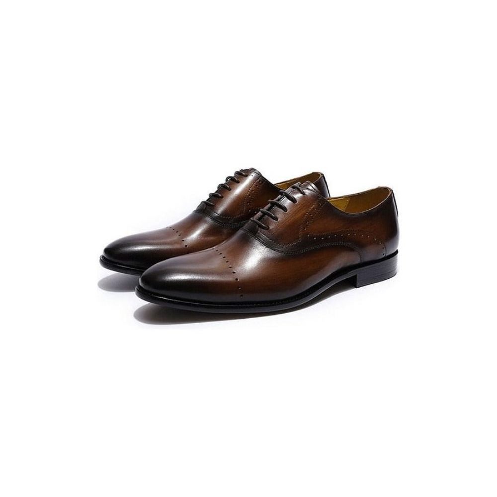 Chaussures Habillées Pour Hommes Oxford Exotiques Peintes À La Main - Café