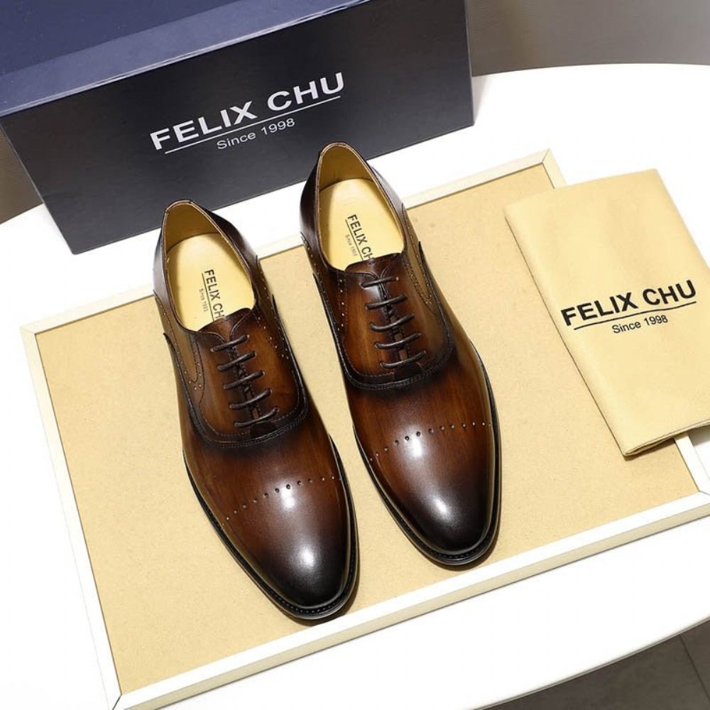 Chaussures Habillées Pour Hommes Oxford Exotiques Peintes À La Main - Café