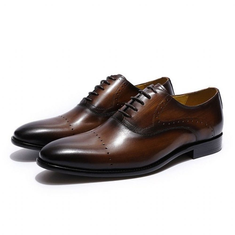 Chaussures Habillées Pour Hommes Oxford Exotiques Peintes À La Main - Café