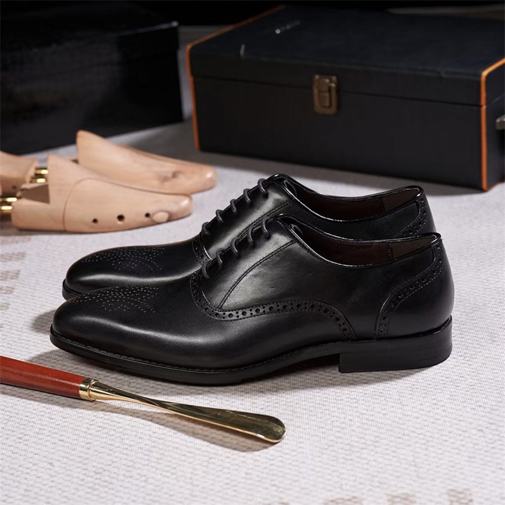 Chaussures Habillées Pour Hommes Sélection Robes Cuir Style Urbain - Noir