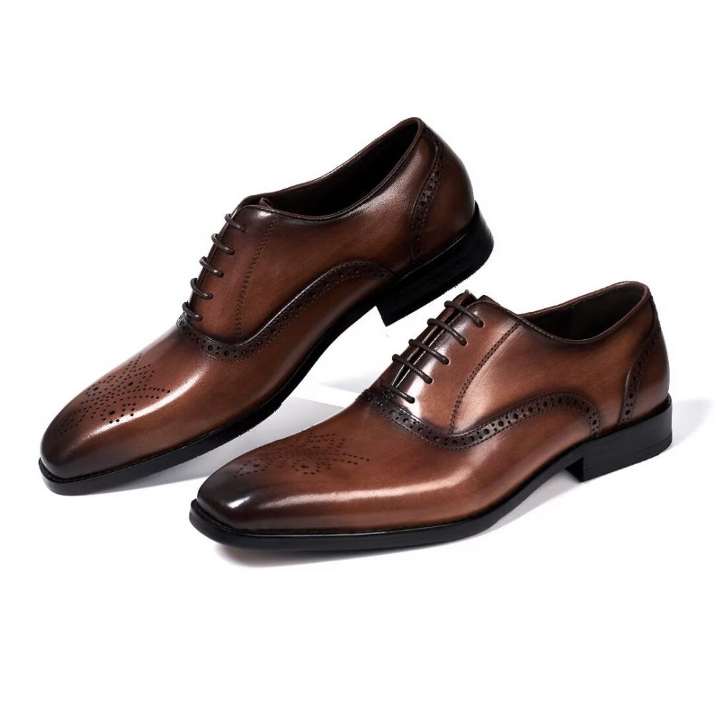 Chaussures Habillées Pour Hommes Sélection Robes Cuir Style Urbain - Marron