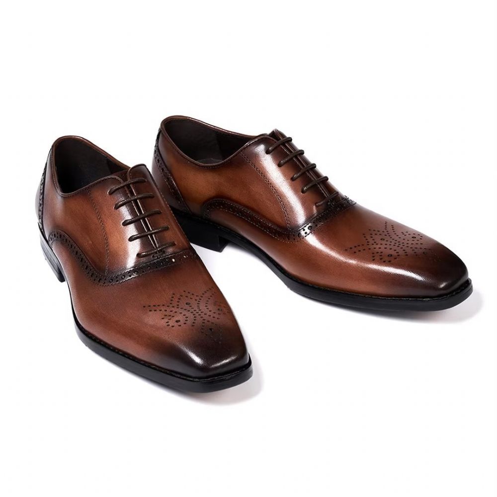 Chaussures Habillées Pour Hommes Sélection Robes Cuir Style Urbain - Marron