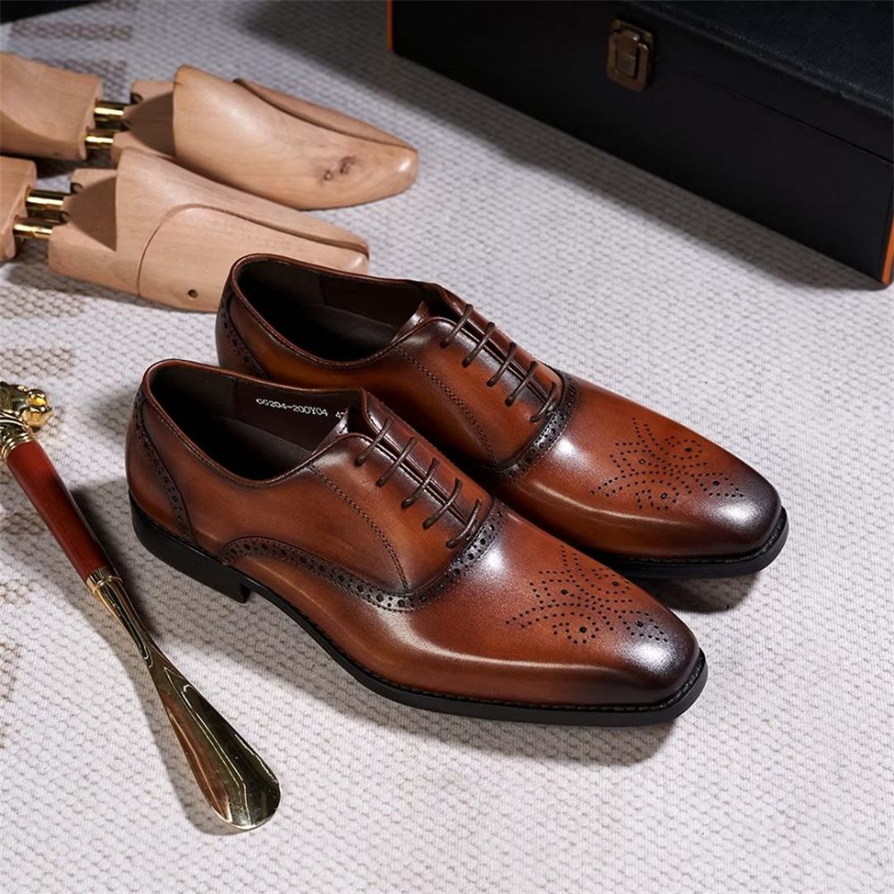 Chaussures Habillées Pour Hommes Sélection Robes Cuir Style Urbain - Marron