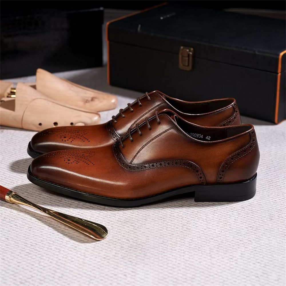 Chaussures Habillées Pour Hommes Sélection Robes Cuir Style Urbain - Marron