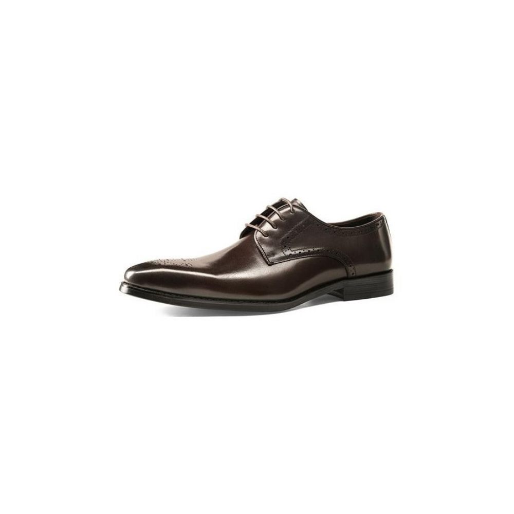 Chaussures Habillées À Lacets Cuir Exotique Pour Hommes - Café