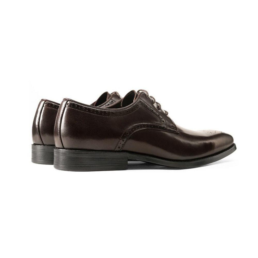 Chaussures Habillées À Lacets Cuir Exotique Pour Hommes - Café