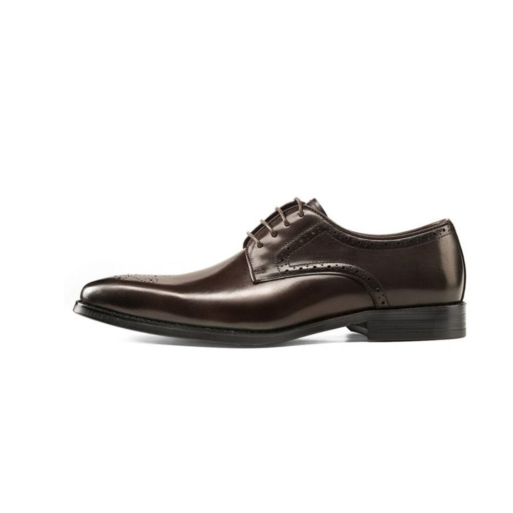 Chaussures Habillées À Lacets Cuir Exotique Pour Hommes - Café