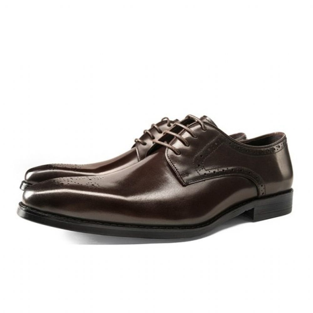 Chaussures Habillées À Lacets Cuir Exotique Pour Hommes - Café