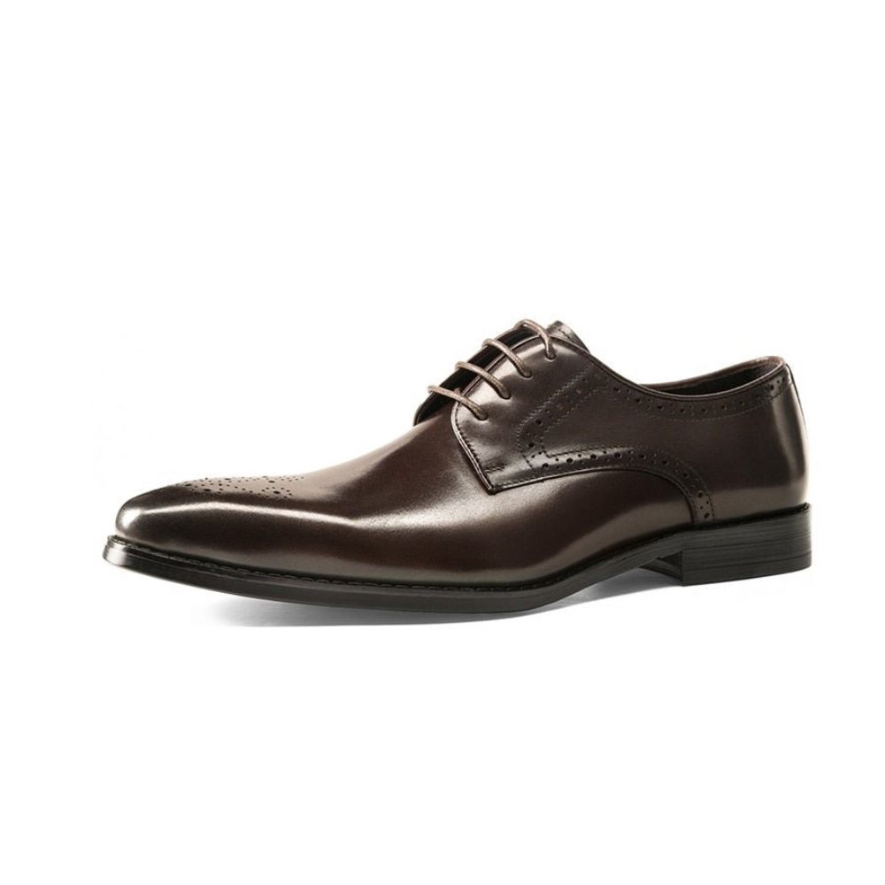 Chaussures Habillées À Lacets Cuir Exotique Pour Hommes - Café