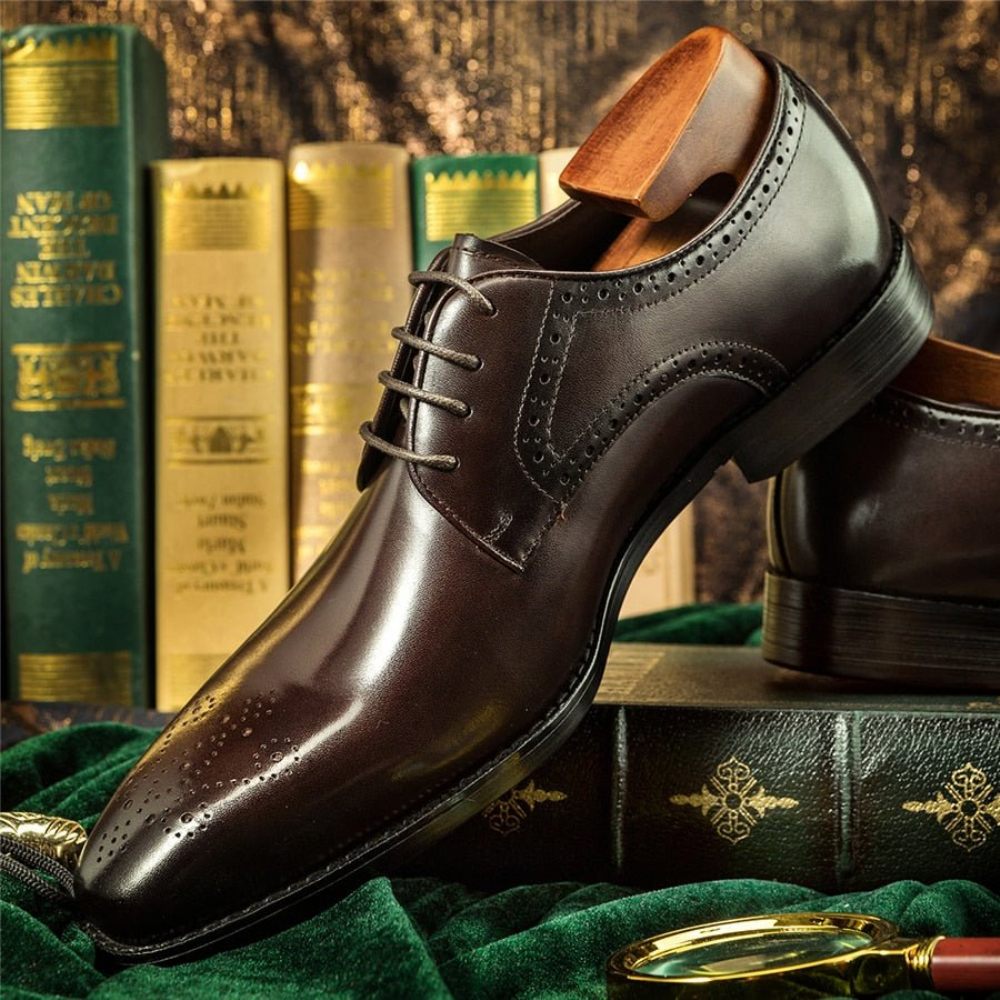 Chaussures Habillées À Lacets Cuir Exotique Pour Hommes - Café