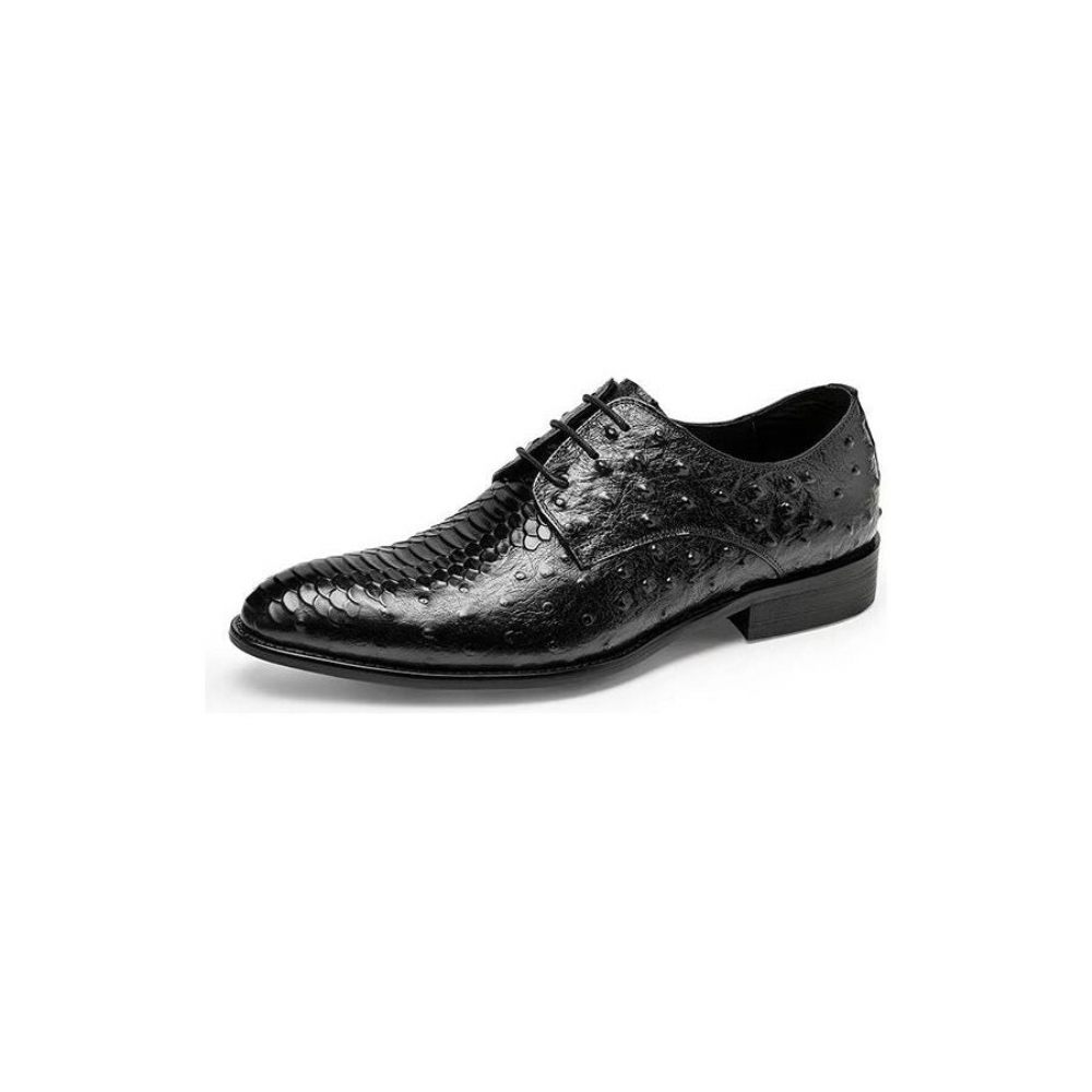 Chaussures Habillées Luxe Croctex Derbies Pour Hommes