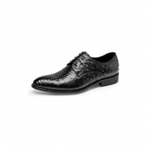 Chaussures Habillées Luxe Croctex Derbies Pour Hommes