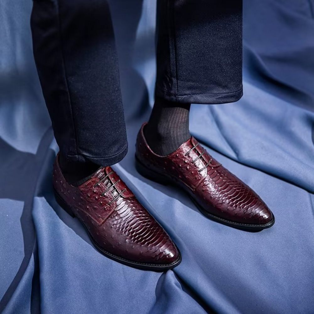 Chaussures Habillées Luxe Croctex Derbies Pour Hommes - Café