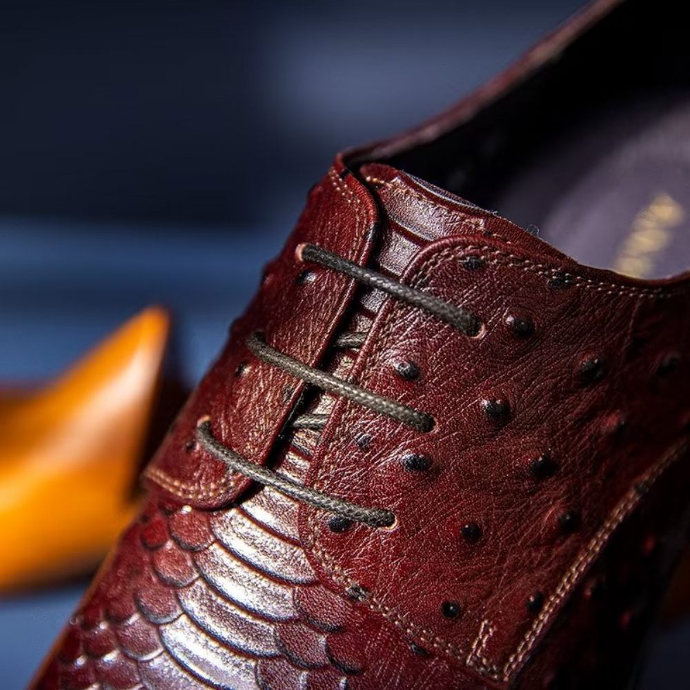 Chaussures Habillées Luxe Croctex Derbies Pour Hommes - Café