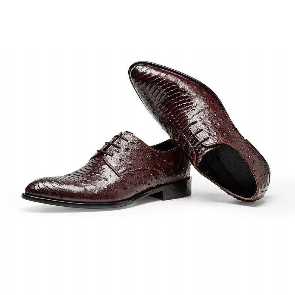 Chaussures Habillées Luxe Croctex Derbies Pour Hommes - Café