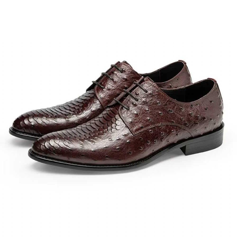 Chaussures Habillées Luxe Croctex Derbies Pour Hommes - Café