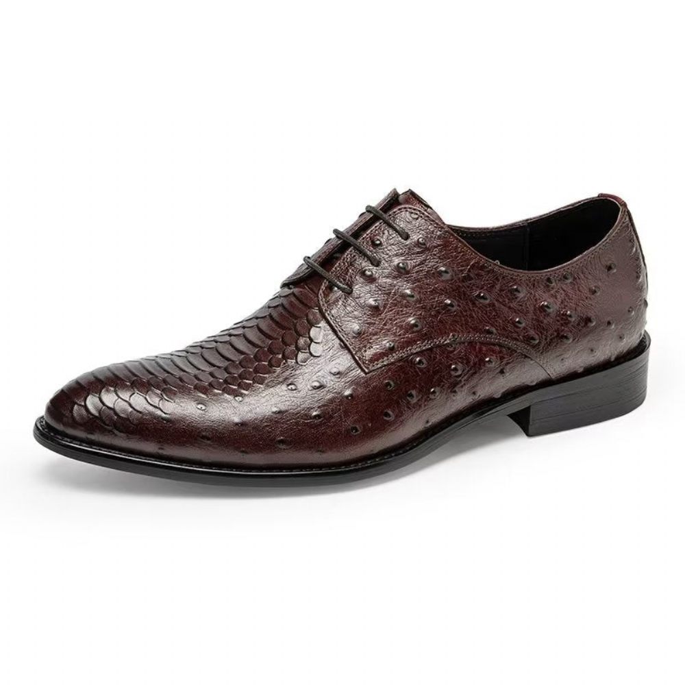 Chaussures Habillées Luxe Croctex Derbies Pour Hommes - Café