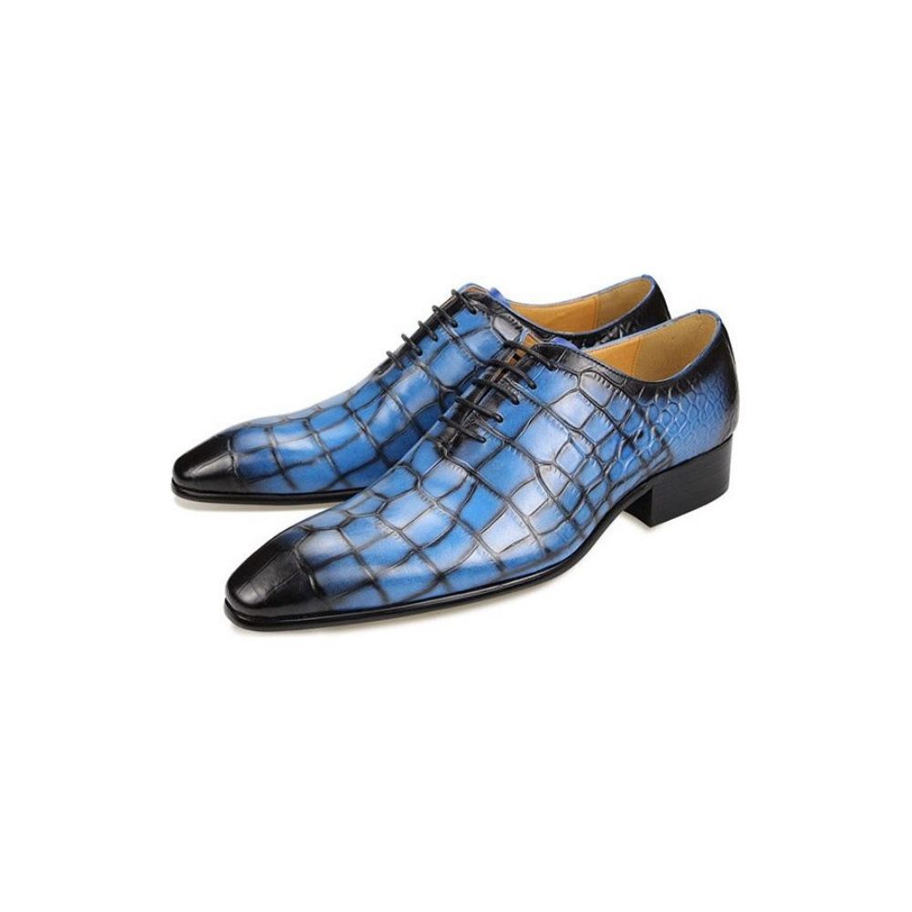 Chaussures Habillées Luxe Croctex Pour Hommes Oxford À Bout Pointu - Bleu