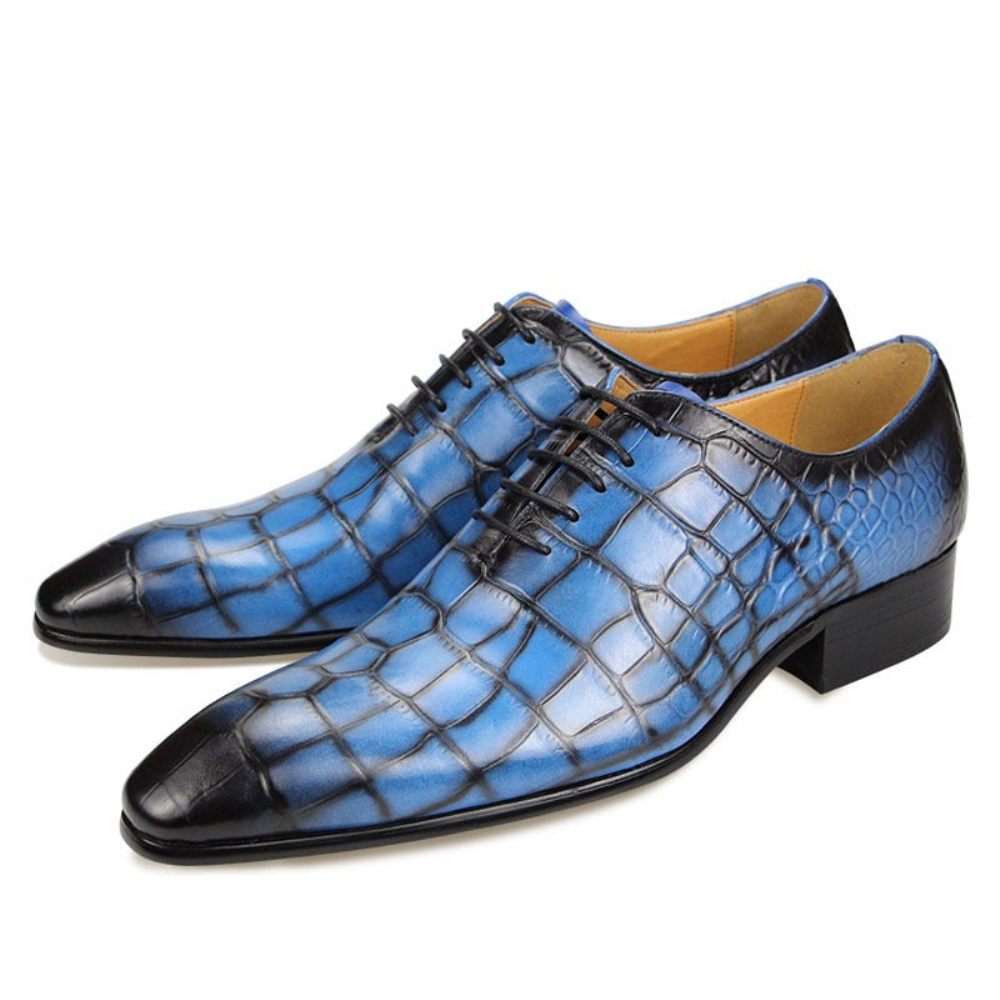 Chaussures Habillées Luxe Croctex Pour Hommes Oxford À Bout Pointu - Bleu