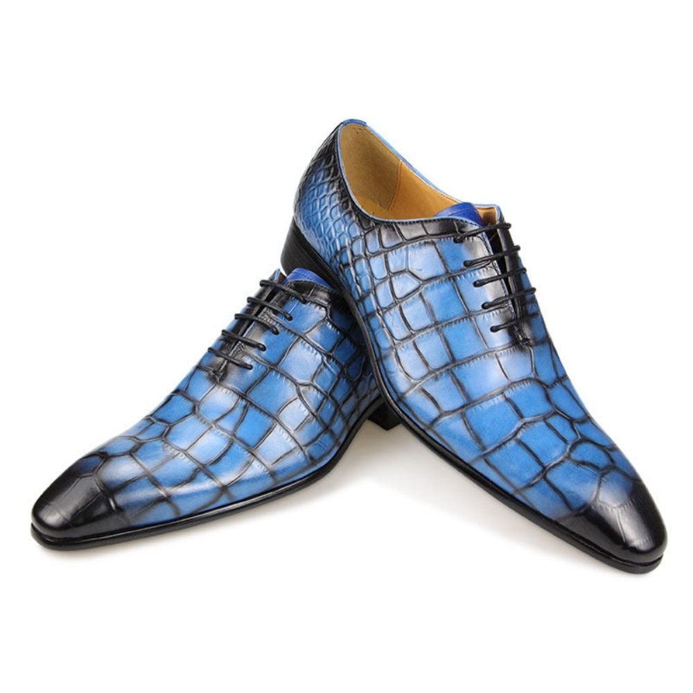 Chaussures Habillées Luxe Croctex Pour Hommes Oxford À Bout Pointu - Bleu