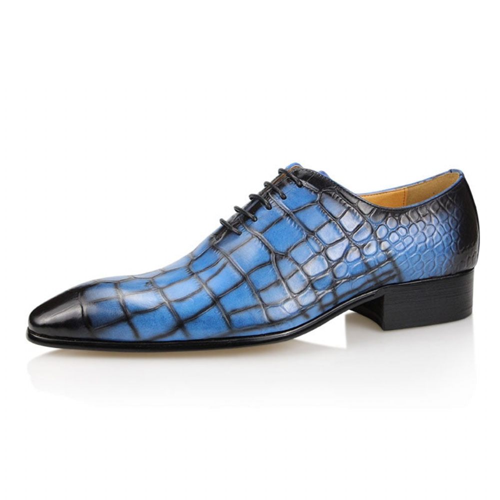 Chaussures Habillées Luxe Croctex Pour Hommes Oxford À Bout Pointu - Bleu