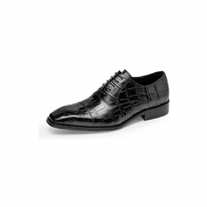 Chaussures Habillées Luxe Croctex Oxford Pour Hommes