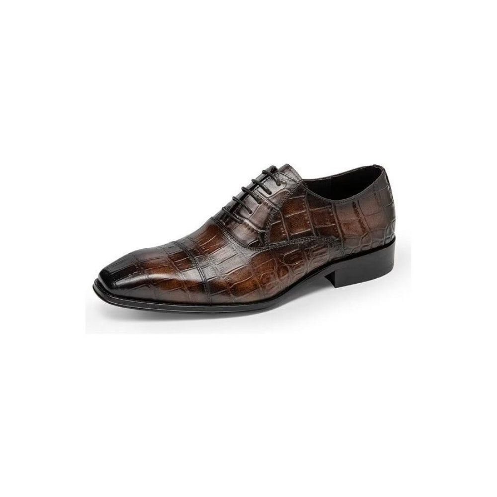 Chaussures Habillées Luxe Croctex Oxford Pour Hommes - Café