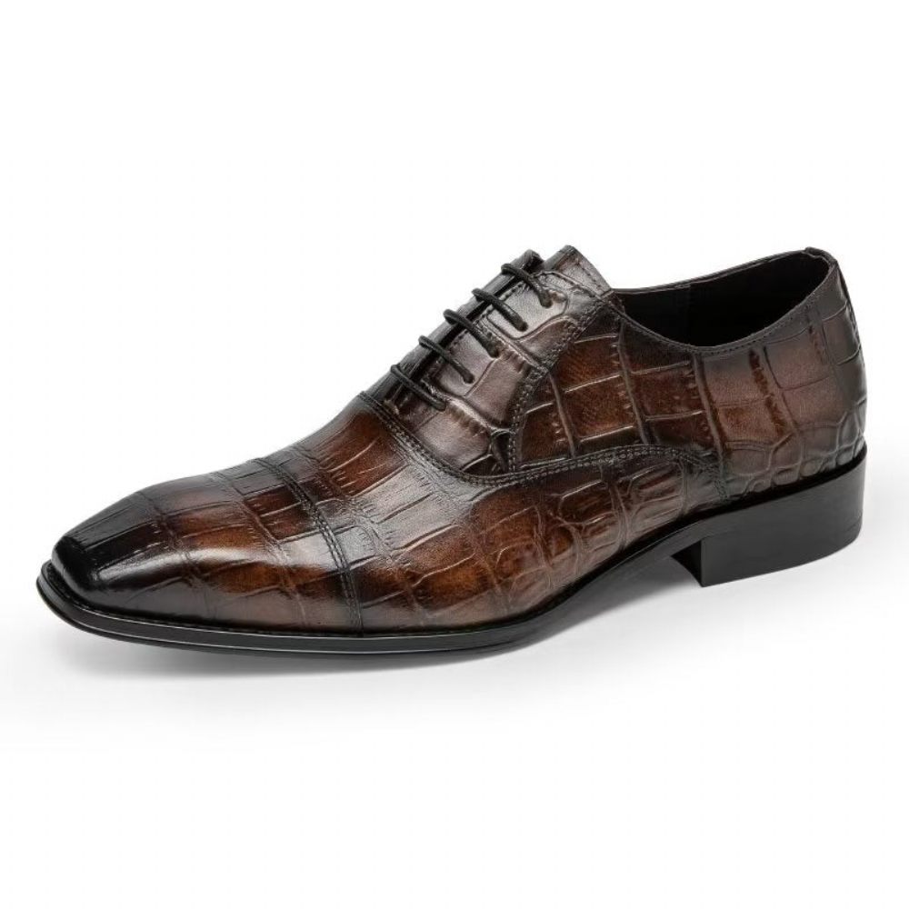 Chaussures Habillées Luxe Croctex Oxford Pour Hommes - Café