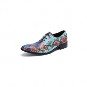 Chaussures Habillées Luxe Pour Hommes Derby Intelligentes À Motifs Exotiques