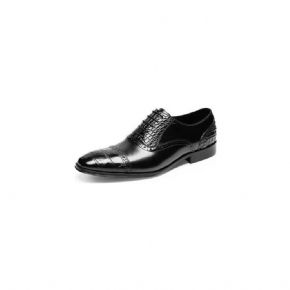 Chaussures Habillées Opulent Croctex Oxford Pour Hommes