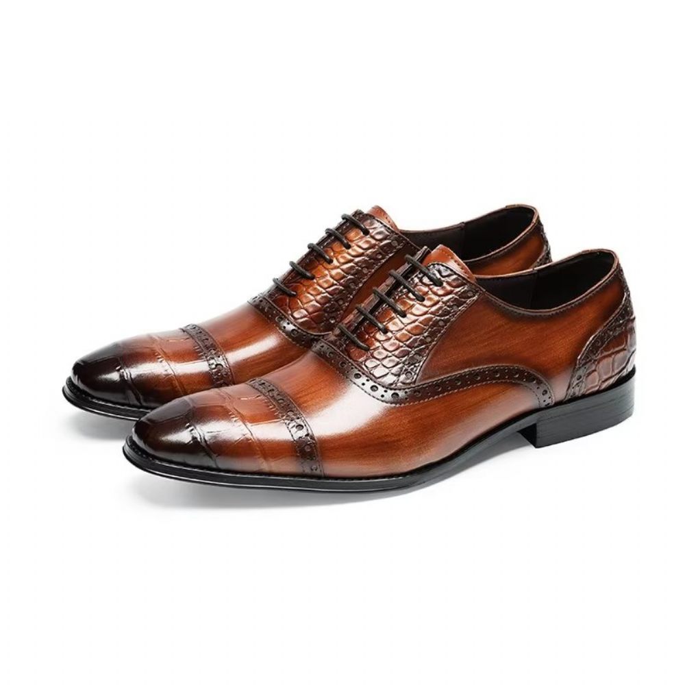 Chaussures Habillées Opulent Croctex Oxford Pour Hommes - Café