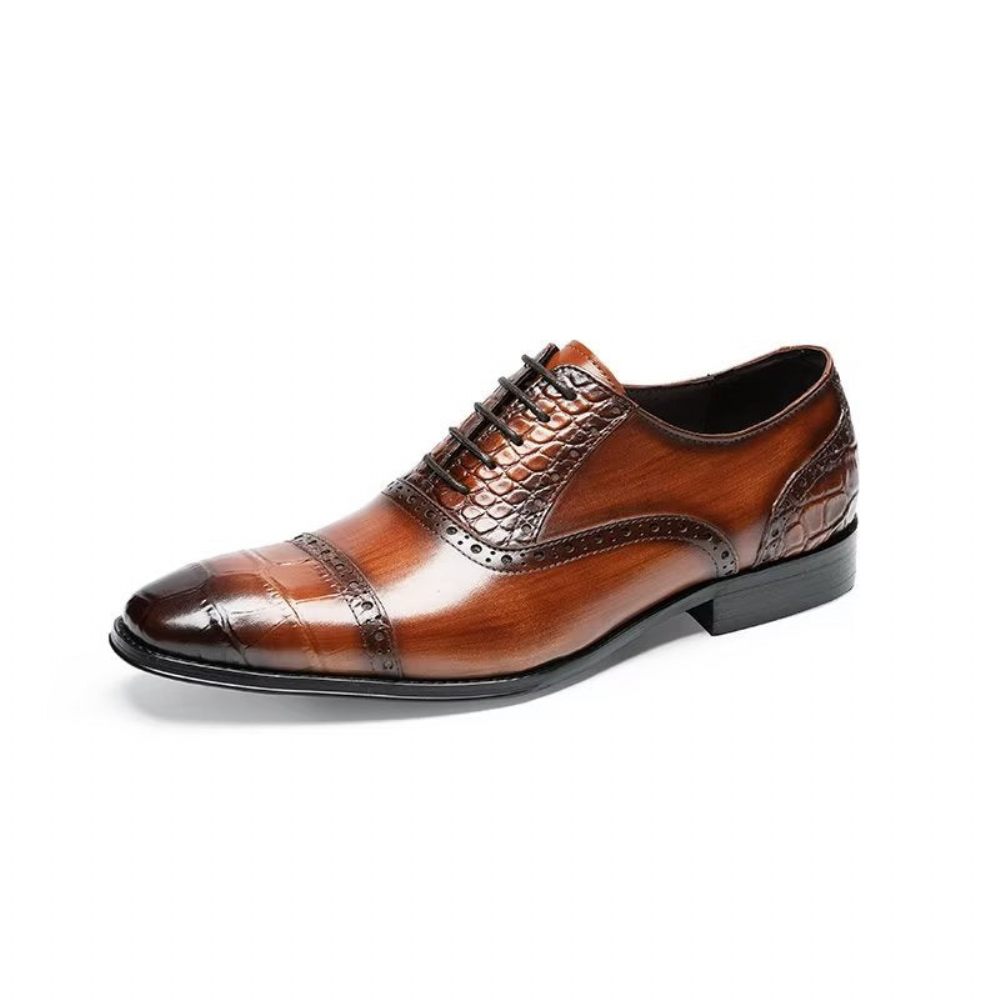 Chaussures Habillées Opulent Croctex Oxford Pour Hommes - Café