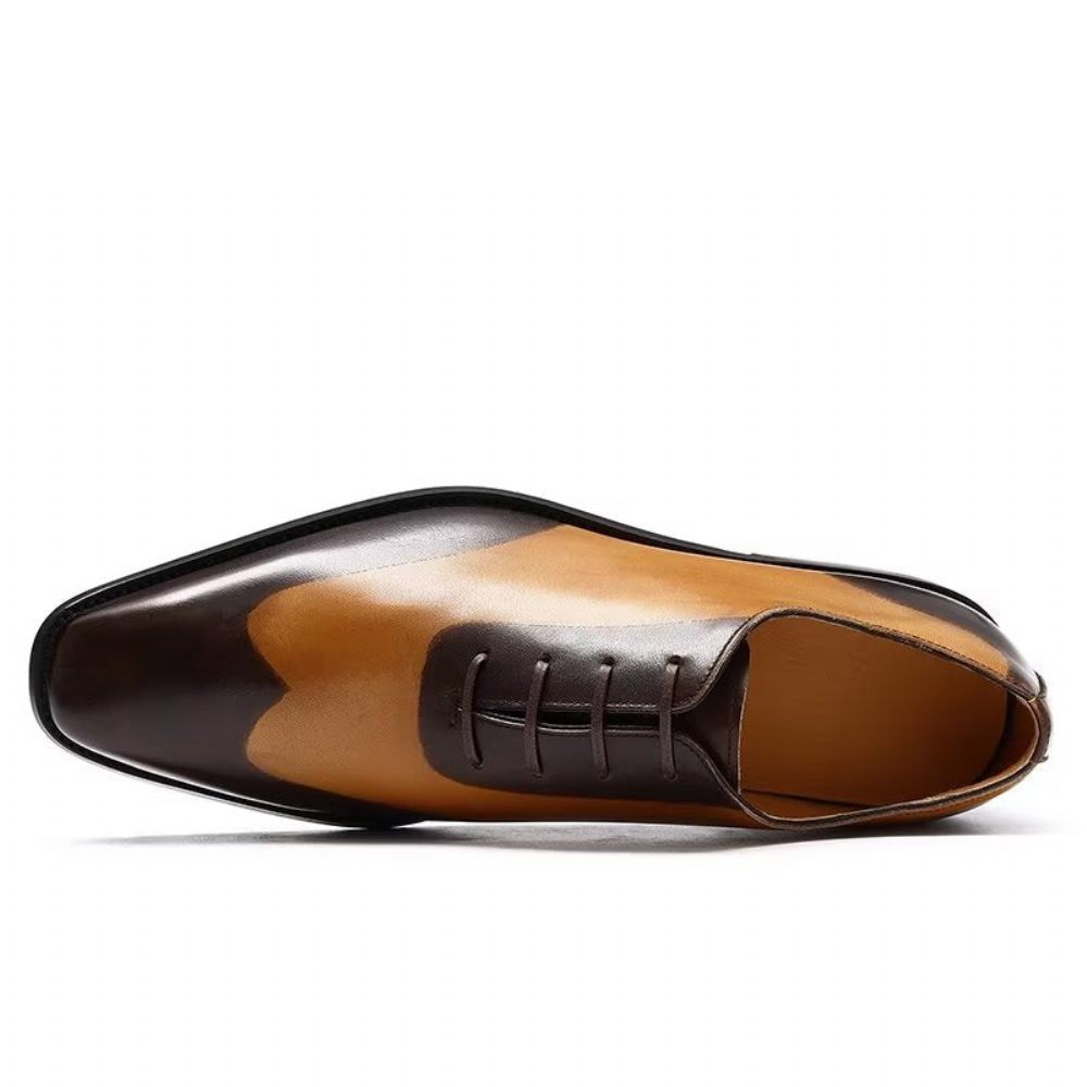 Chaussures Habillées Oxford Pour Hommes - Café