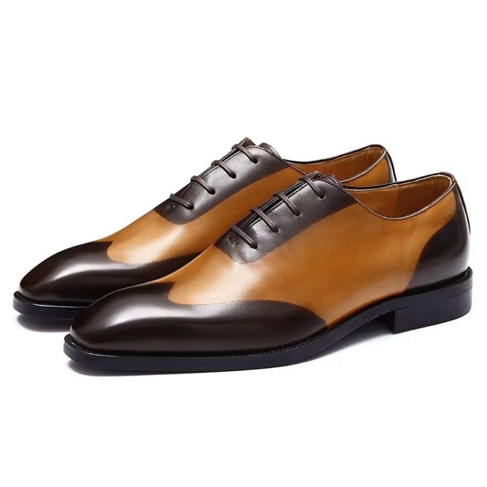 Chaussures Habillées Oxford Pour Hommes - Café